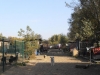 sdc16008